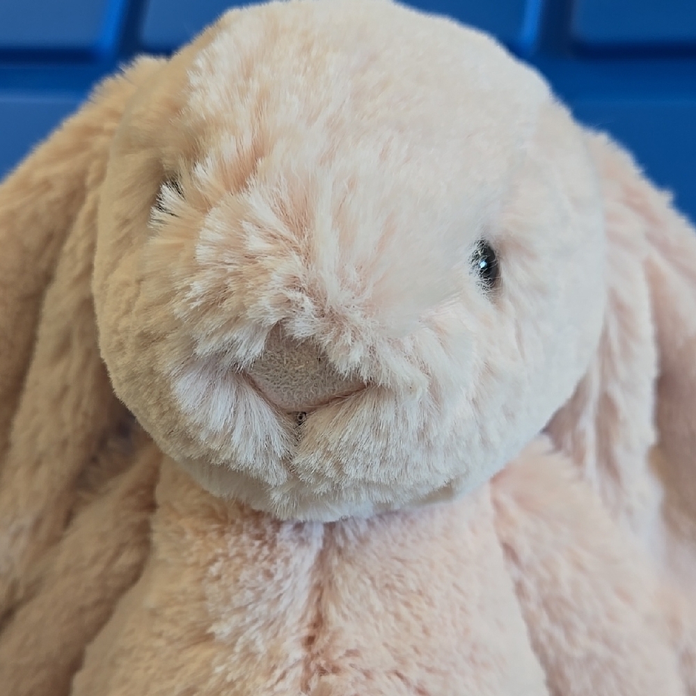Jellycat Original Bashful Blush Bunny W/ Blue Bag - Picture 16 of 16